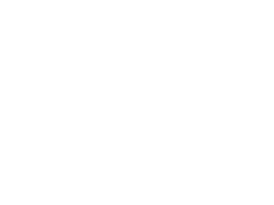 Linuspro logo i hvid